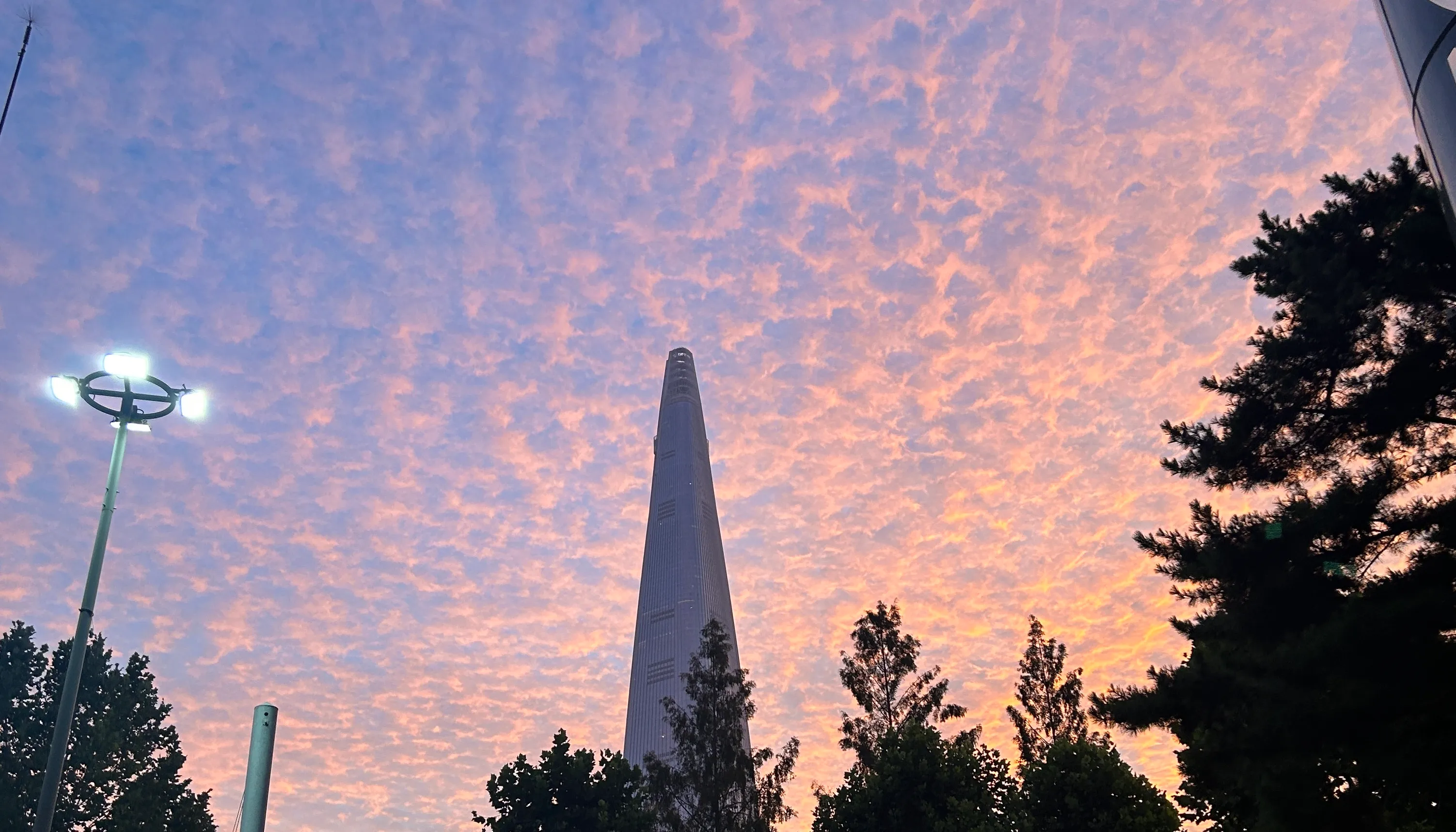 Banner image of the blog